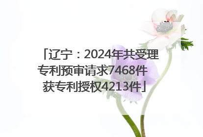 辽宁：2024年共受理专利预审请求7468件 获专利授权4213件