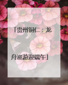 贵州铜仁：龙舟巡游迎端午