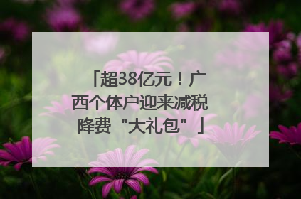 超38亿元！广西个体户迎来减税降费“大礼包”