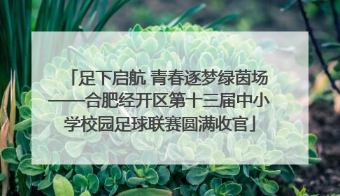 足下启航 青春逐梦绿茵场——合肥经开区第十三届中小学校园足球联赛圆满收官