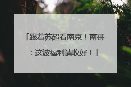 跟着苏超看南京！南哥：这波福利请收好！