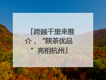 跨越千里来推介，“陕茶优品”亮相杭州