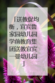 送教促均衡，宜宾鲁家园幼儿园学前教育集团送教宜宾一曼幼儿园