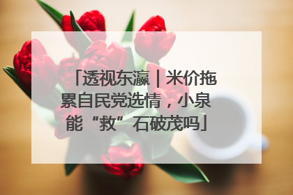 透视东瀛｜米价拖累自民党选情，小泉能“救”石破茂吗