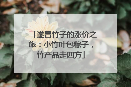 遂昌竹子的涨价之旅：小竹叶包粽子，竹产品走四方
