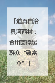 道真自治县河西村：食用菌撑起群众“致富伞”