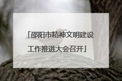 邵阳市精神文明建设工作推进大会召开