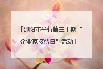 邵阳市举行第三十期“企业家接待日”活动