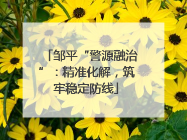邹平“警源融治”：精准化解，筑牢稳定防线