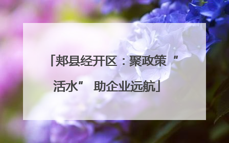 郏县经开区：聚政策“活水” 助企业远航