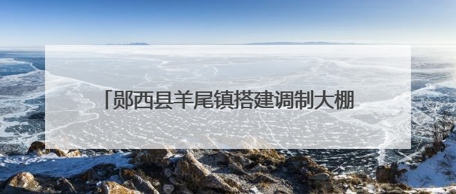 郧西县羊尾镇搭建调制大棚激活烟叶产业“新动能”