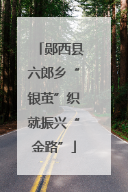 郧西县六郎乡“银茧”织就振兴“金路”