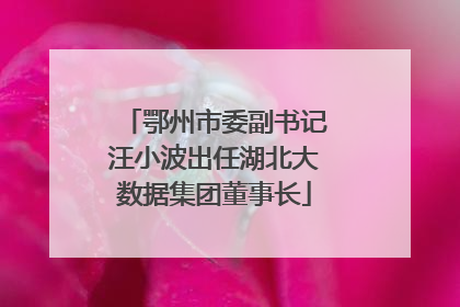 鄂州市委副书记汪小波出任湖北大数据集团董事长