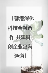 鄂港深化科技金融合作 共建科创企业出海通道