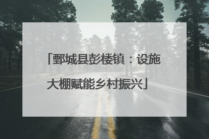 鄄城县彭楼镇：设施大棚赋能乡村振兴