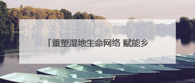 重塑湿地生命网络 赋能乡村“颜值”“产值”双提升