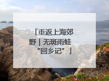 重返上海郊野｜无斑雨蛙“回乡记”