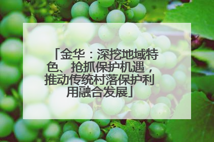 金华：深挖地域特色、抢抓保护机遇，推动传统村落保护利用融合发展