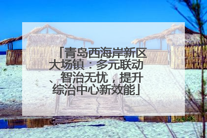 青岛西海岸新区大场镇：多元联动、智治无忧，提升综治中心新效能