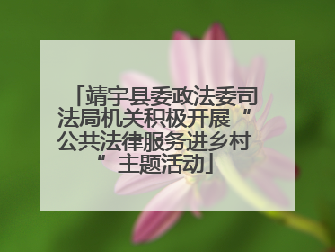 靖宇县委政法委司法局机关积极开展“公共法律服务进乡村”主题活动