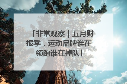 非常观察｜五月财报季，运动品牌谁在领跑谁在掉队