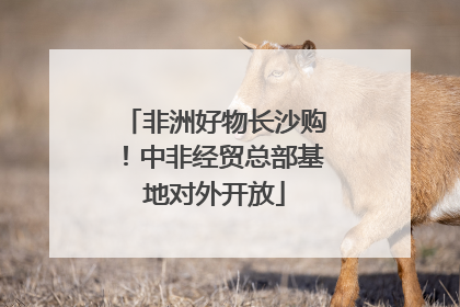 非洲好物长沙购！中非经贸总部基地对外开放