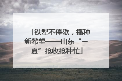 铁犁不停歇，播种新希望——山东“三夏”抢收抢种忙