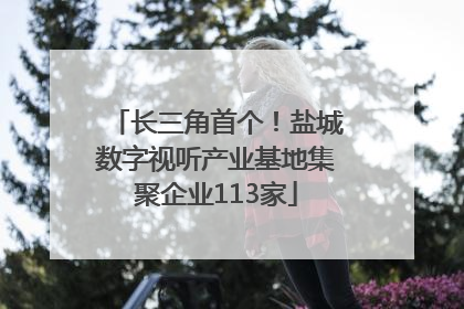 长三角首个！盐城数字视听产业基地集聚企业113家