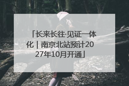 长来长往·见证一体化｜南京北站预计2027年10月开通