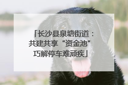 长沙县泉塘街道：共建共享“资金池” 巧解停车难顽疾