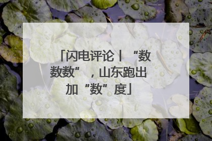 闪电评论丨“数数数”，山东跑出加“数”度