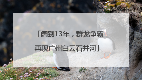 阔别13年，群龙争霸再现广州白云石井河