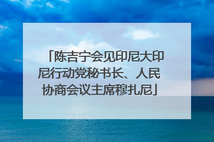 陈吉宁会见印尼大印尼行动党秘书长、人民协商会议主席穆扎尼