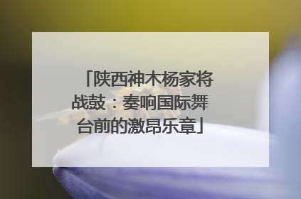 陕西神木杨家将战鼓：奏响国际舞台前的激昂乐章