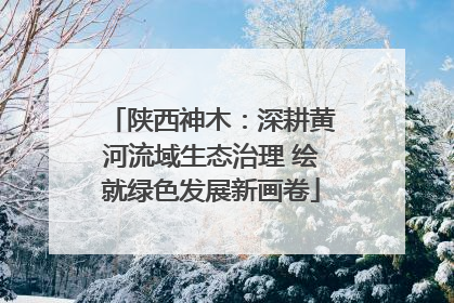 陕西神木：深耕黄河流域生态治理 绘就绿色发展新画卷