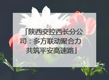 陕西交控西长分公司：多方联动聚合力 共筑平安高速路