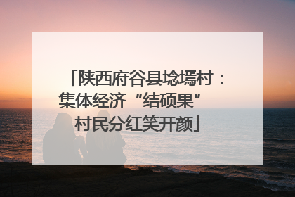陕西府谷县埝墕村：集体经济“结硕果” 村民分红笑开颜
