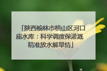 陕西榆林市横山区河口庙水库：科学调度保灌溉 精准放水解旱情