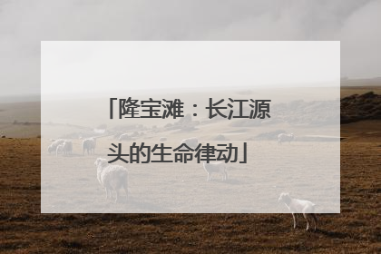 隆宝滩：长江源头的生命律动