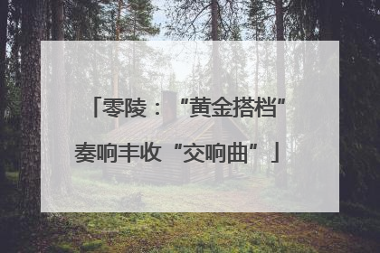 零陵：“黄金搭档”奏响丰收“交响曲”
