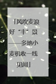 风吹麦浪好“丰”景——多地小麦机收一线见闻