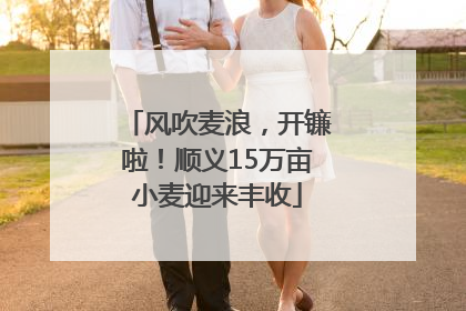 风吹麦浪，开镰啦！顺义15万亩小麦迎来丰收