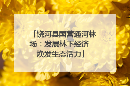 饶河县国营通河林场：发展林下经济 焕发生态活力