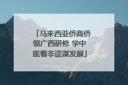 马来西亚侨商侨领广西研修 学中医看非遗谋发展
