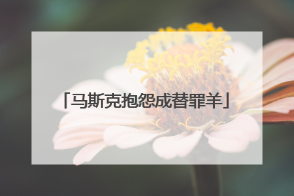 马斯克抱怨成替罪羊