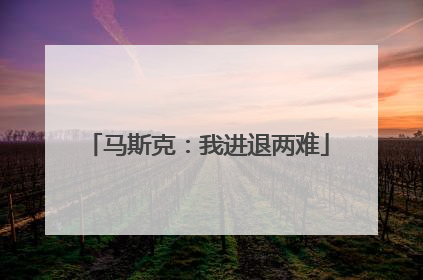 马斯克：我进退两难