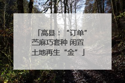 高县：“订单”苎麻巧套种 闲置土地再生“金”