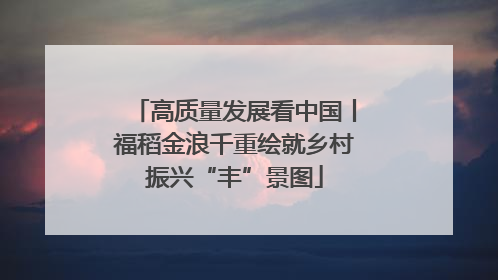 高质量发展看中国丨福稻金浪千重绘就乡村振兴“丰”景图