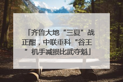 齐鲁大地“三夏”战正酣，中联重科“谷王”机手减损比武夺魁