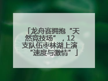 龙舟赛拥抱“天然竞技场”，12支队伍枣林湖上演“速度与激情”